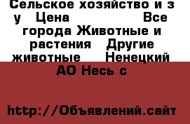 Сельское хозяйство и з/у › Цена ­ 2 500 000 - Все города Животные и растения » Другие животные   . Ненецкий АО,Несь с.